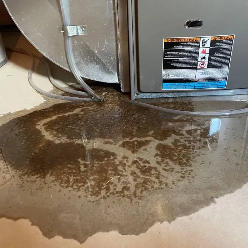 Pipe Burst and Leak Restoration in Middletown, RI