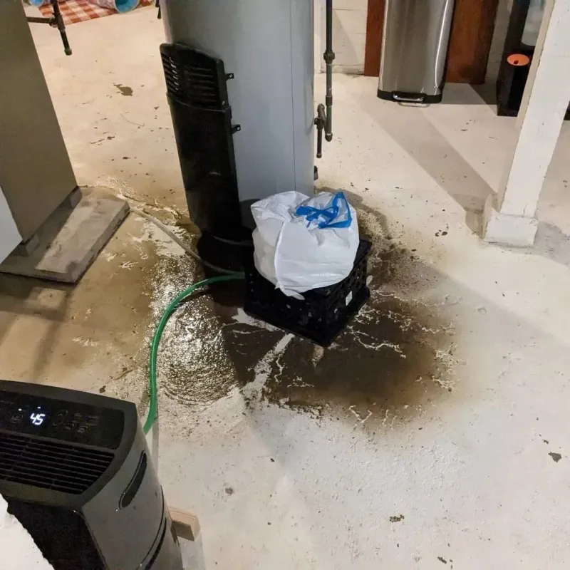 Sewage Backup Cleanup Service in Middletown, RI